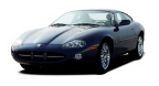 jaguar_xk82